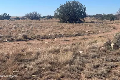 1515 Pumpkin Patch, Heber, AZ 85928 - Photo 1