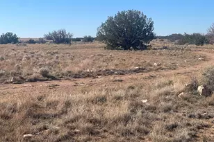 1515 Pumpkin Patch, Heber, AZ 85928 - Photo 1