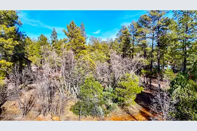 6101 E Starlight Ridge Road, Lakeside, AZ 85929 - Photo 6