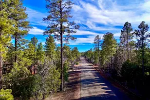 6101 E Starlight Ridge Rd, Lakeside, AZ 85929 - Photo 1