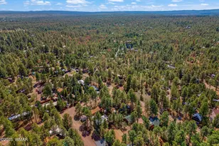 2867 Pine Rim Rd, Overgaard, AZ 85933 - Photo 30