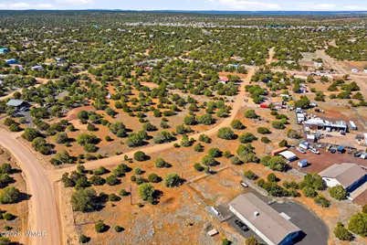 8396 Bear Meadow Drive, Show Low, AZ 85901 - Photo 14