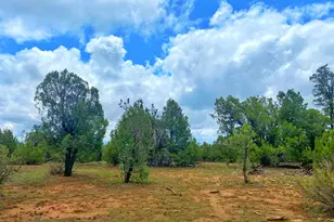 Tbd Bear Heights, Heber, AZ 85928 - Photo 1