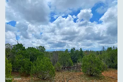 Tbd Bear Heights, Heber, AZ 85928 - Photo 2