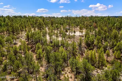 2975 Canary Lane, Heber, AZ 85928 - Photo 2