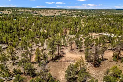 2975 Canary Lane, Heber, AZ 85928 - Photo 4