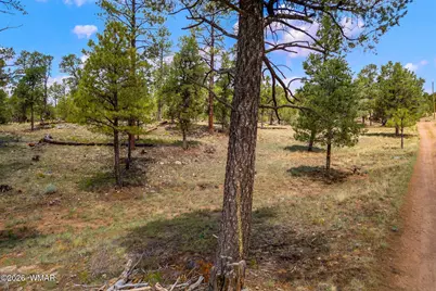 Par 007H Chevelon Rd, Heber, AZ 85928 - Photo 6
