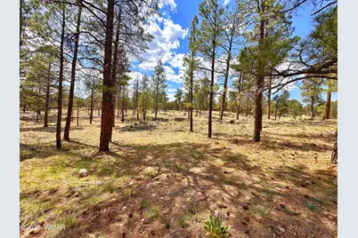 Par 007H Chevelon Rd, Heber, AZ 85928 - Photo 1