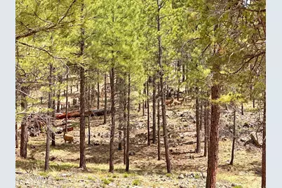 Par 007H Chevelon Rd, Heber, AZ 85928 - Photo 4