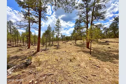 Par 007H Chevelon Rd, Heber, AZ 85928 - Photo 2