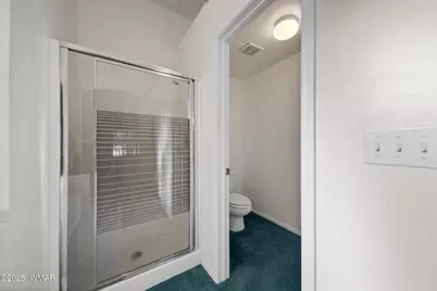 3231 W Old Linden Road, Show Low, AZ 85901 - Photo 42