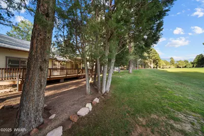3231 W Old Linden Road, Show Low, AZ 85901 - Photo 4