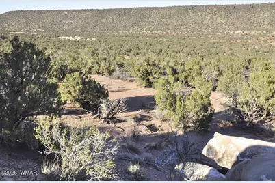 3687 Damron Valley Road, Snowflake, AZ 85937 - Photo 6
