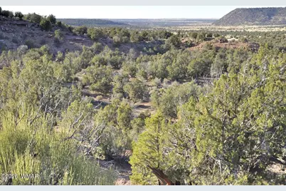 3687 Damron Valley Road, Snowflake, AZ 85937 - Photo 1