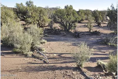3687 Damron Valley Road, Snowflake, AZ 85937 - Photo 4