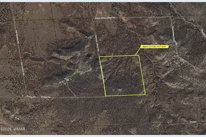 3687 Damron Valley Road, Snowflake, AZ 85937 - Photo 8