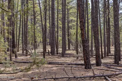 1 Acre Birdsong Way, Lakeside, AZ 85929 - Photo 10