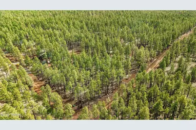 1 Acre Birdsong Way, Lakeside, AZ 85929 - Photo 14