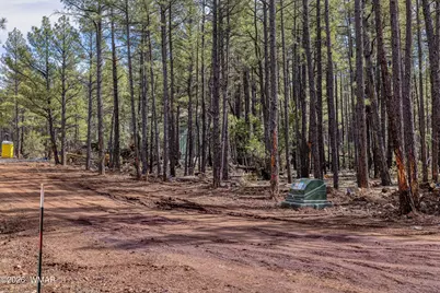 1 Acre Birdsong Way, Lakeside, AZ 85929 - Photo 12