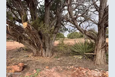 4129 Apache Road, Snowflake, AZ 85937 - Photo 40