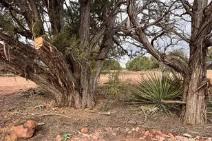 4129 Apache Rd, Snowflake, AZ 85937 - Photo 40