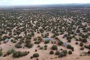 4129 Apache Rd, Snowflake, AZ 85937 - Photo 42