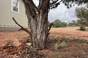 4129 Apache Rd, Snowflake, AZ 85937 - Photo 38