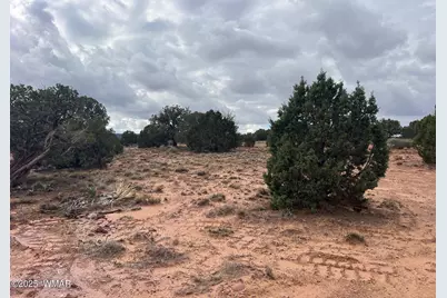 4129 Apache Road, Snowflake, AZ 85937 - Photo 46