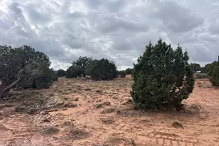 4129 Apache Rd, Snowflake, AZ 85937 - Photo 46