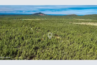 4.74 Acres Birdsong Way, Lakeside, AZ 85929 - Photo 6