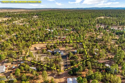 2845 Mustang Trail, Overgaard, AZ 85933 - Photo 28