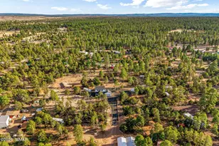 2845 Mustang Trail, Overgaard, AZ 85933 - Photo 24