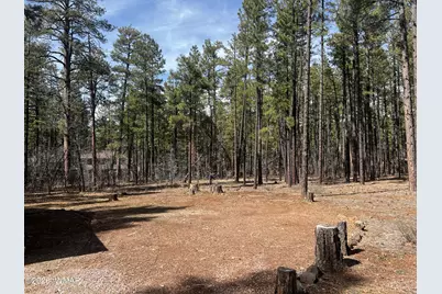 3051 Antelope Trail, Pinetop, AZ 85935 - Photo 8