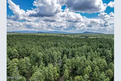 3051 Antelope Trail, Pinetop, AZ 85935 - Photo 12