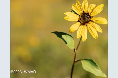 2351 Quarter Horse Trail, Overgaard, AZ 85933 - Photo 40