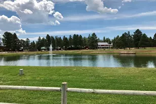 2351 Quarter Horse Trl, Overgaard, AZ 85933 - Photo 36