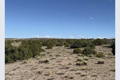 Tbd Woodland Valley Ranch Lot 849, Saint Johns, AZ 85936 - Photo 2