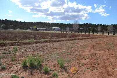 7651 Dalton Lane, Taylor, AZ 85939 - Photo 36