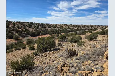 5827 Watermelon Drive, Heber, AZ 85928 - Photo 2