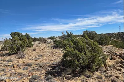 5827 Watermelon Drive, Heber, AZ 85928 - Photo 8