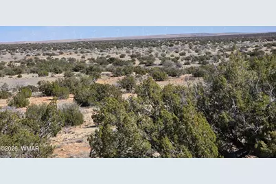 5827 Watermelon Drive, Heber, AZ 85928 - Photo 4