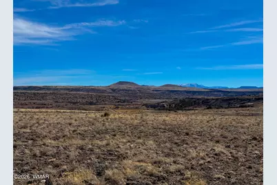 0 Cr 4008 (25 Acres), Saint Johns, AZ 85936 - Photo 8