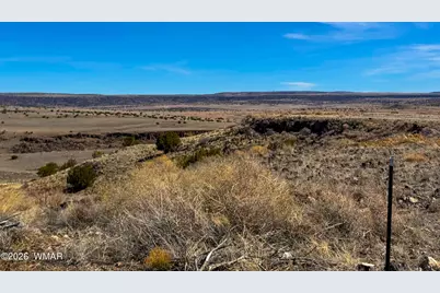 0 Cr 4008 (25 Acres), Saint Johns, AZ 85936 - Photo 4