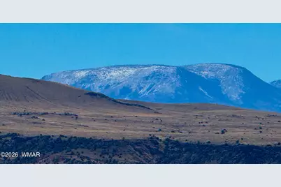 0 Cr 4008 (25 Acres), Saint Johns, AZ 85936 - Photo 6