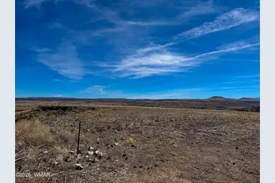 0 Cr 4008 (25 Acres), Saint Johns, AZ 85936 - Photo 22