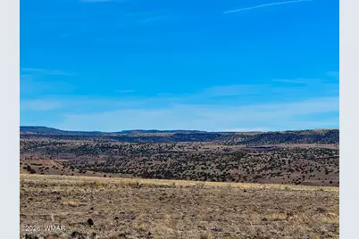 0 Cr 4008 (25 Acres), Saint Johns, AZ 85936 - Photo 18