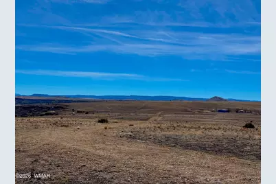 0 Cr 4008 (25 Acres), Saint Johns, AZ 85936 - Photo 16