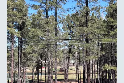 3795 Mogollon Vista Drive, Pinetop, AZ 85935 - Photo 4