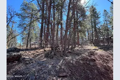 3795 Mogollon Vista Drive, Pinetop, AZ 85935 - Photo 6