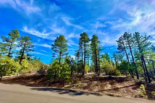 321 W Aspen Trl, Show Low, AZ 85901 - Photo 1